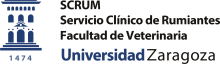 logo Servicio Clínico de Rumiantes